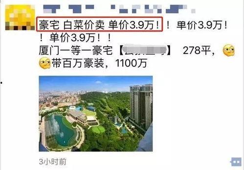 厦门楼市 爆料最新消息,揭秘热点区域价格走势与政策动向  第1张