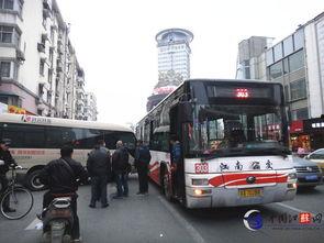 湖北路最新爆料,揭秘神秘项目背后的惊人真相  第2张