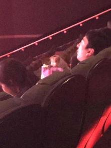 法国亲密在线观看影豆,影豆带你领略浪漫爱情电影魅力  第1张